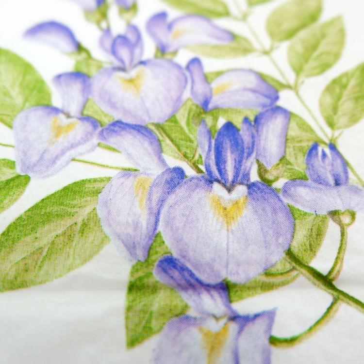 ʥץ(20)3333cm PAPER+DESIGN ƥꥢ ѡץ LN0662