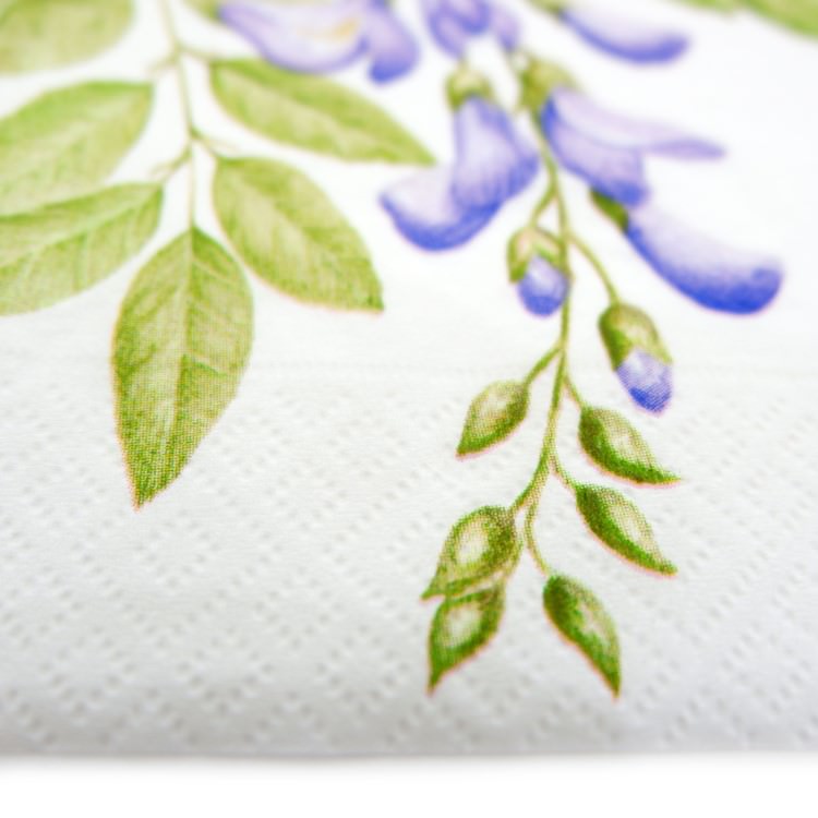 ʥץ(20)3333cm PAPER+DESIGN ƥꥢ ѡץ LN0662