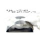 ZACK 40121 GENIO ɥZACKǥΥ륯å HL [߸ͭ]