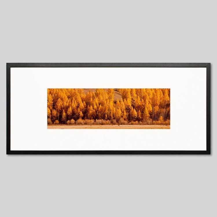 IGREBOW 󥴥 ƥ른 դο[å 13] ܥ ƥꥢե ԥ㡼 ̿