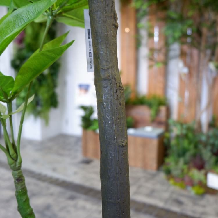 ѥ 180cmGLP-1522 ƥե륰꡼ ͹տʪ ꡼