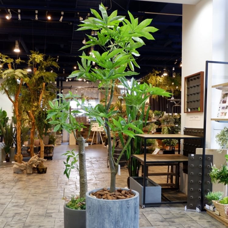 ѥ 180cmGLP-1522 ƥե륰꡼ ͹տʪ ꡼