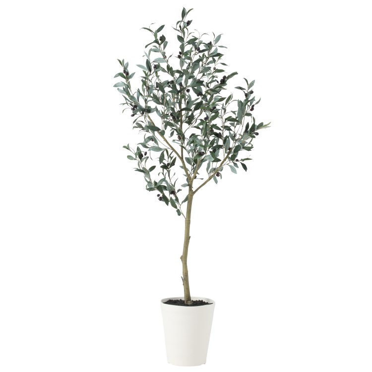 ֥å꡼ FST W60H150cmTK91623 ƥե륰꡼ ͹տʪ ͹ ȭդ꡼