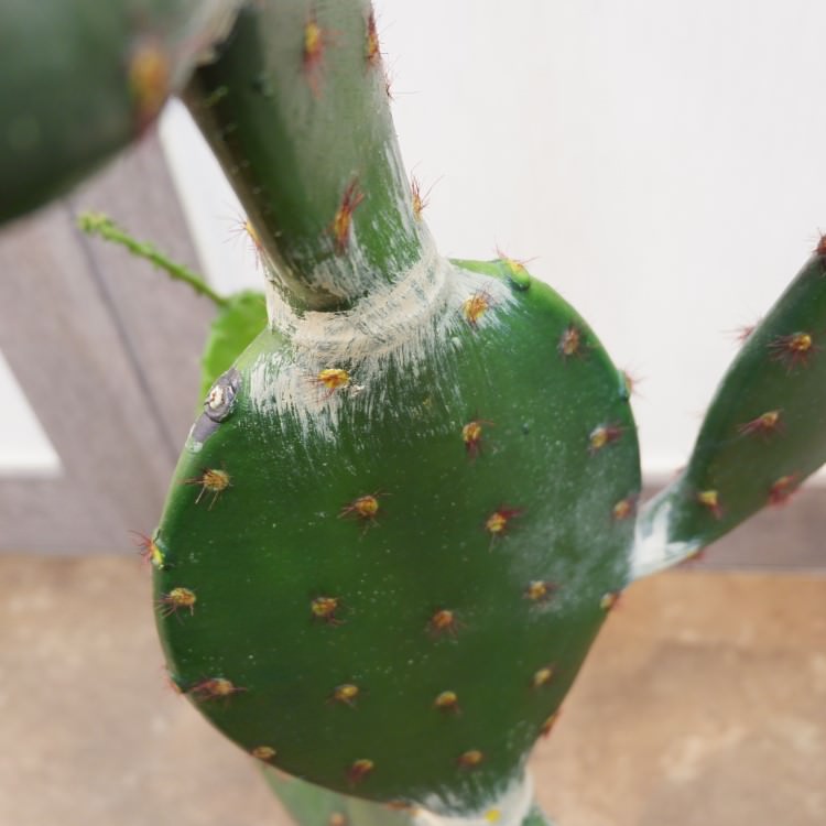 𥵥ܥƥݥå104cmFD4021 ƥե륰꡼ ͹տʪ ͹ ʰȭդ꡼