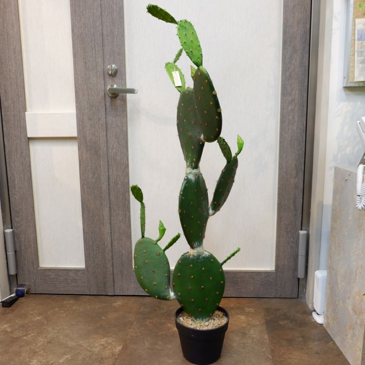 𥵥ܥƥݥå104cmFD4021 ƥե륰꡼ ͹տʪ ͹ ʰȭդ꡼