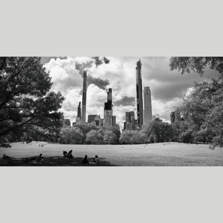 IGREBOW �˥塼�衼�� �ޥ�ϥå��� ����ȥ��ѡ������鸫��ӥ뷲��[����� 1��2] ��������ܥ� ����ƥꥢ�ե��� �ԥ����㡼������ �̿�