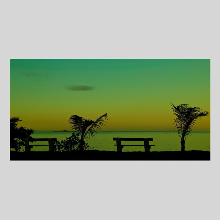 IGREBOW �˥塼����ɥ˥� ͼ���γ��ȥ䥷���ڡ�[�»� 1��2] ��������ܥ� ����ƥꥢ�ե��� �ԥ����㡼������ �̿�