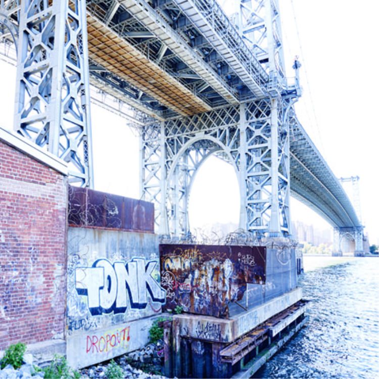 IGREBOW �˥塼�衼�� �����ꥢ�ॺ�С����֥�å��ζ��ӡ�[���å� 1��1] ��������ܥ� ����ƥꥢ�ե��� �ԥ����㡼������ �̿�