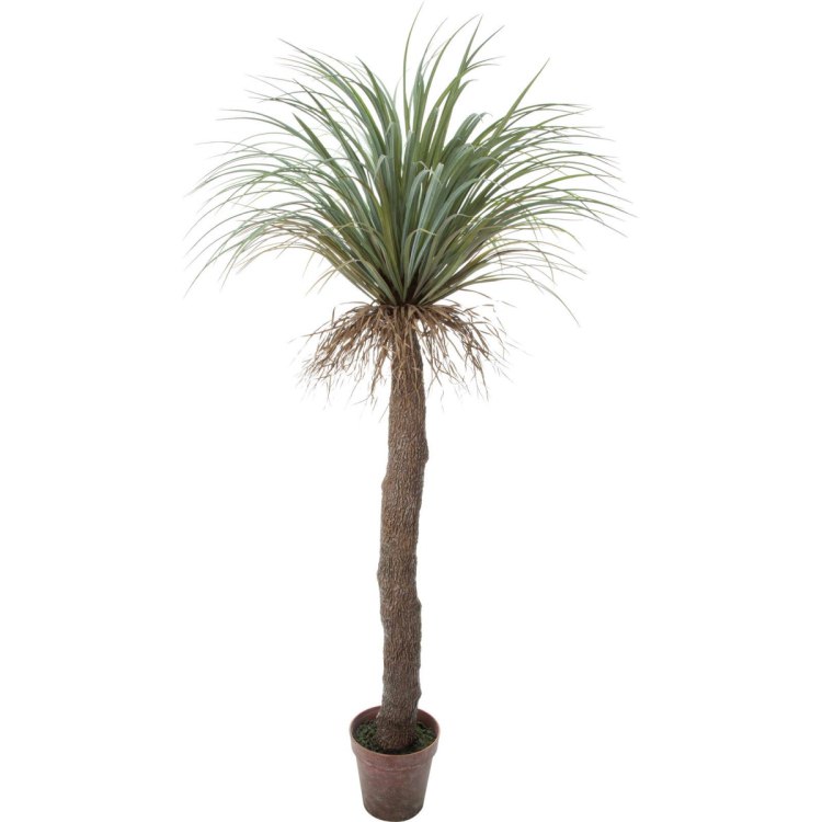 ��å������ȥ顼�� 200cm��GLP-1523 �����ƥ��ե�����륰�꡼�� �͹����տ�ʪ ���꡼��