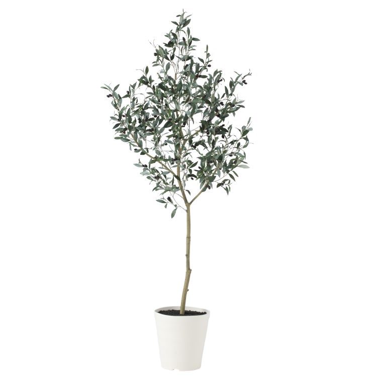 ֥å꡼ FST W80H180cmTK91626 ƥե륰꡼ ͹տʪ ͹ ȭդ꡼