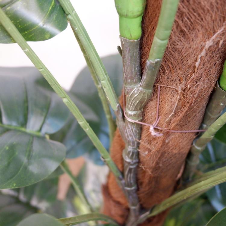 ݥȥإݥå122cmFD4038 ƥե륰꡼ ͹տʪ ͹ ʰȭդ꡼