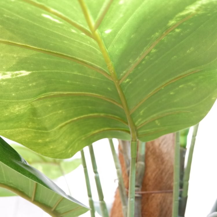 ݥȥإݥå122cmFD4038 ƥե륰꡼ ͹տʪ ͹ ʰȭդ꡼