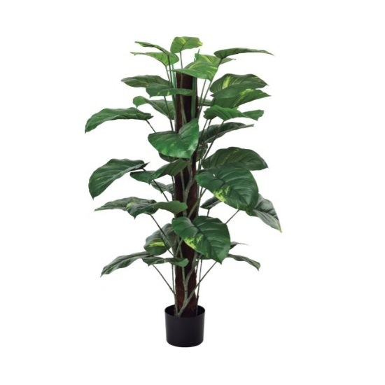 ݥȥإݥå122cmFD4038 ƥե륰꡼ ͹տʪ ͹ ʰȭդ꡼