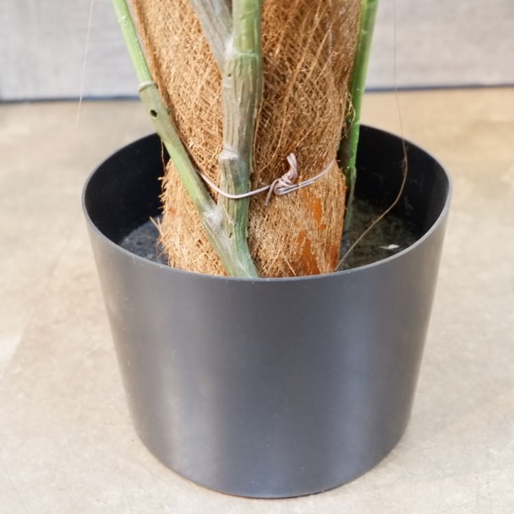 ݥȥإݥå122cmFD4038 ƥե륰꡼ ͹տʪ ͹ ʰȭդ꡼