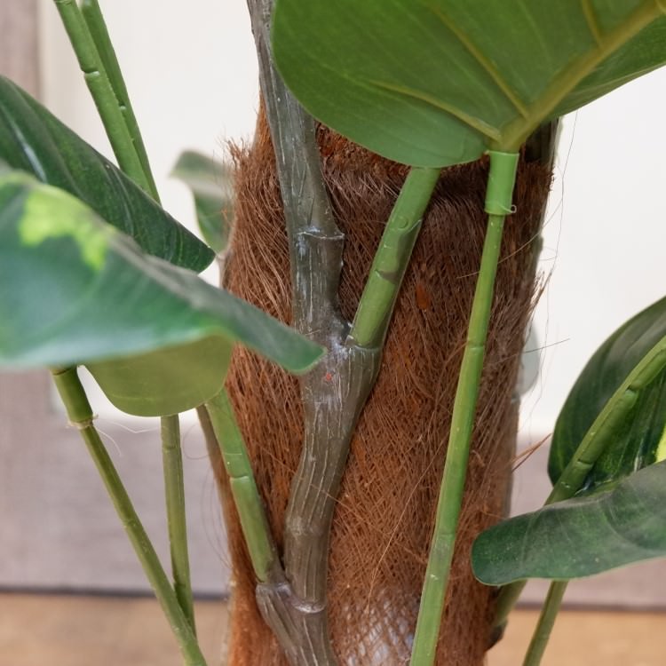 ݥȥإݥå122cmFD4038 ƥե륰꡼ ͹տʪ ͹ ʰȭդ꡼