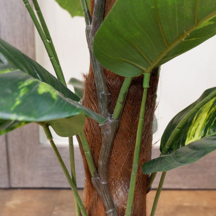 ݥȥإݥå122cmFD4038 ƥե륰꡼ ͹տʪ ͹ ʰȭդ꡼