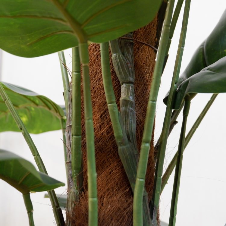 ݥȥإݥå122cmFD4038 ƥե륰꡼ ͹տʪ ͹ ʰȭդ꡼