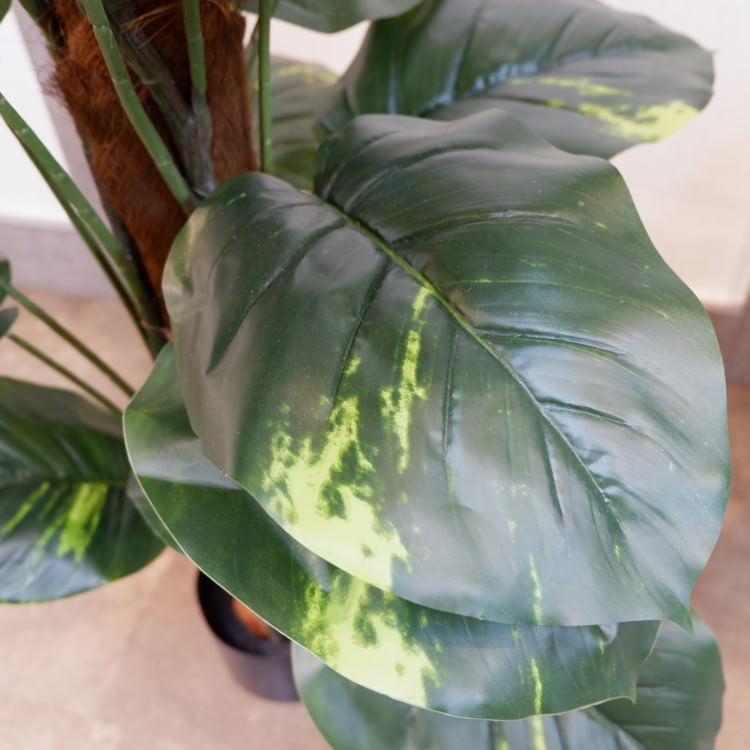 ݥȥإݥå122cmFD4038 ƥե륰꡼ ͹տʪ ͹ ʰȭդ꡼