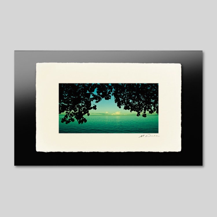 IGREBOW ˥塼ɥ˥ ڱ˾Ĥ[» 12] ܥ ƥꥢե ԥ㡼 ̿