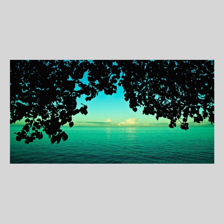 IGREBOW ˥塼ɥ˥ ڱ˾Ĥ[» 12] ܥ ƥꥢե ԥ㡼 ̿