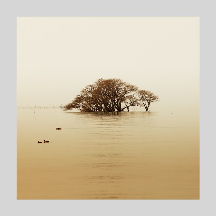 IGREBOW 츩 ʸС[å 11] ܥ ƥꥢե ԥ㡼 ̿