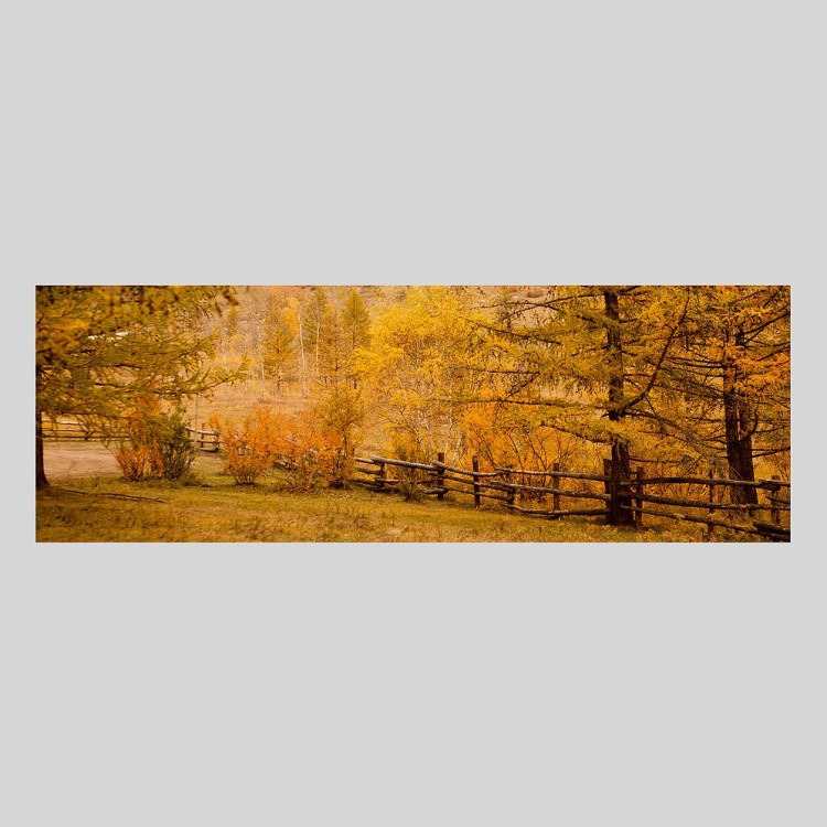 IGREBOW 󥴥 ƥ른ο[å 13] ܥ ƥꥢե ԥ㡼 ̿