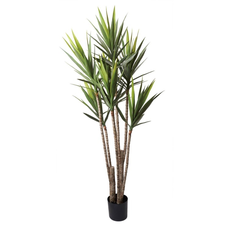 åĥ꡼ 195cmGLP-1524 ƥե륰꡼ ͹տʪ ꡼