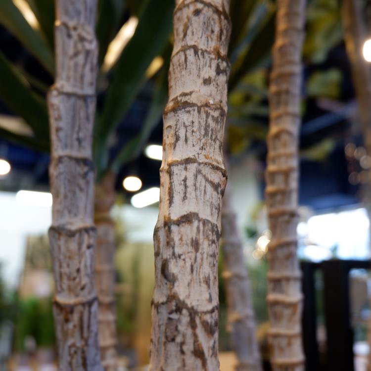 åĥ꡼ 195cmGLP-1524 ƥե륰꡼ ͹տʪ ꡼