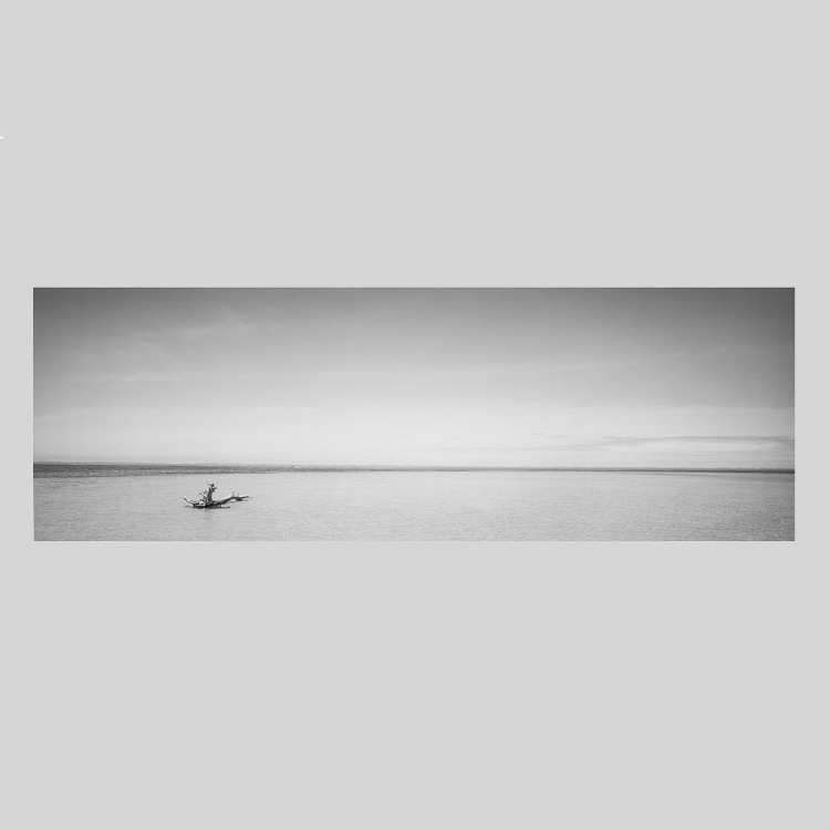 IGREBOW �˥塼����ɥ˥� �����ɥơ�����ݥ��� �����Υӡ�����1�ܤ�ή�� �ӥå���������[���å� 1��3] ��������ܥ� ����ƥꥢ�ե��� �ԥ����㡼������ �̿�