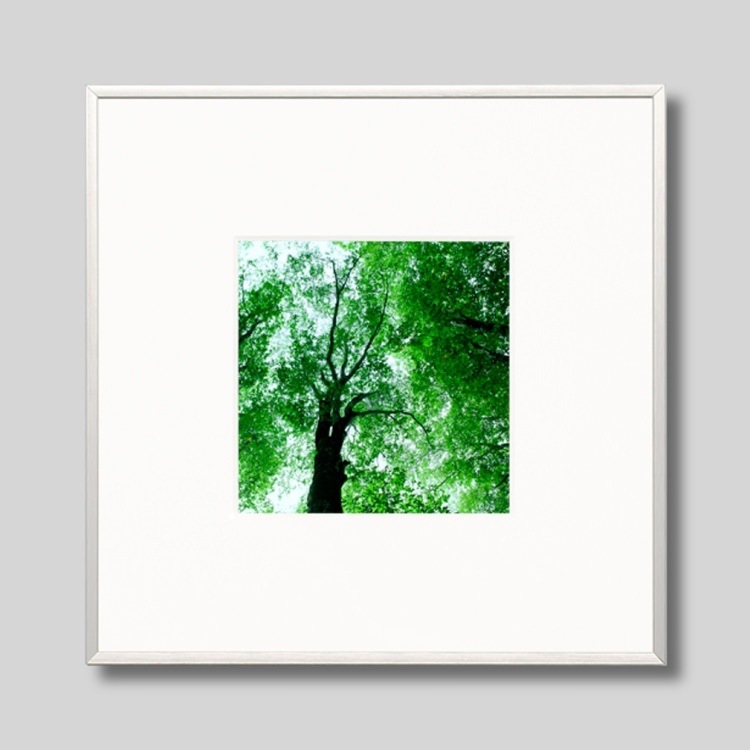 IGREBOW Ĺ ֤ο[ 11] ܥ ƥꥢե ԥ㡼 ̿