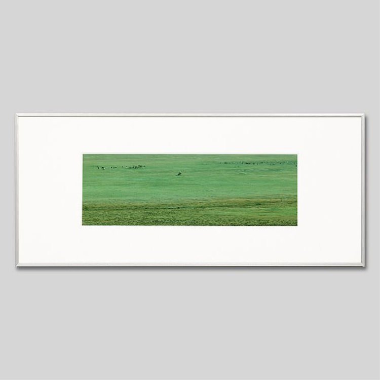 IGREBOW 󥴥 ƥ른 𸶤Ϥ˾äƶȴ̱[ 13] ܥ ƥꥢե ԥ㡼 ̿