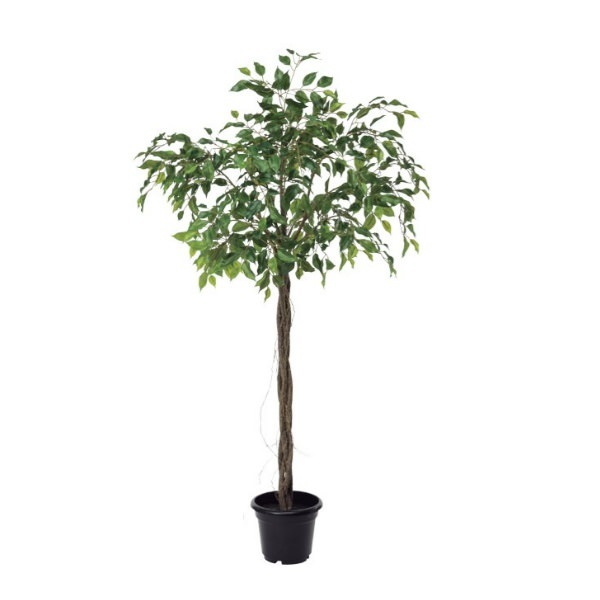 եݥå124cmP4791 ƥե륰꡼ ͹տʪ ͹ ʰȭդ꡼