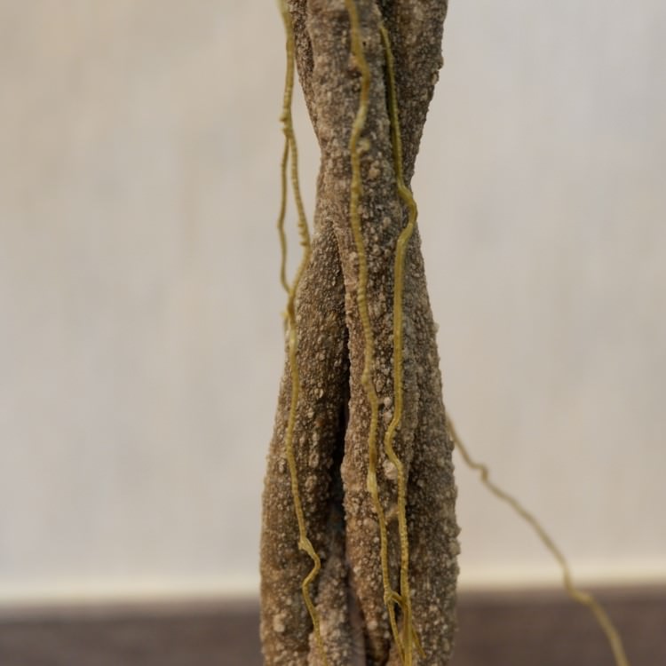 եݥå124cmP4791 ƥե륰꡼ ͹տʪ ͹ ʰȭդ꡼