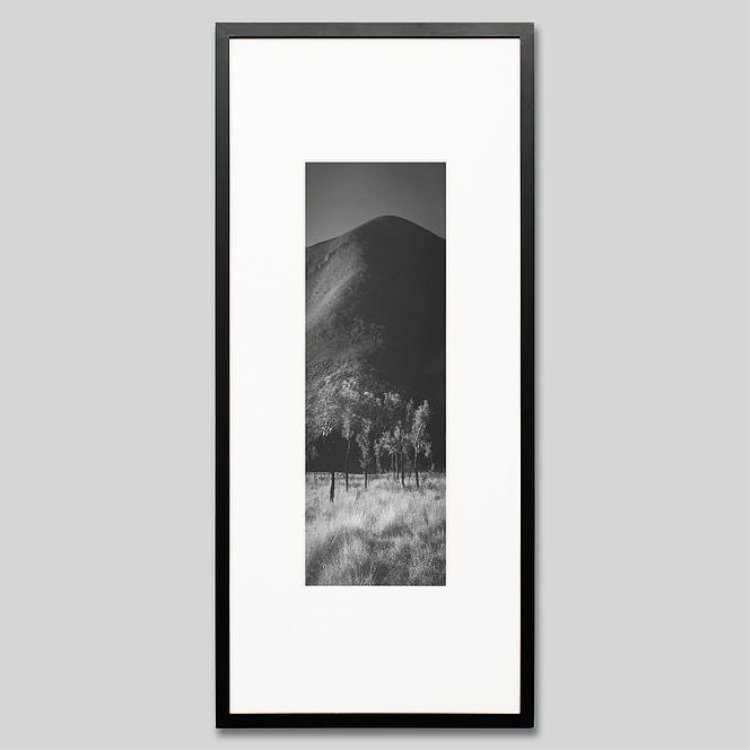 IGREBOW ȥꥢ  å𸶤ڡ[å 13] ܥ ƥꥢե ԥ㡼 ̿