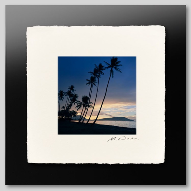 IGREBOW �ϥ磻 �������γ� ���磻�����ӡ�����[�»� 1��1] ��������ܥ� ����ƥꥢ�ե��� �ԥ����㡼������ �̿�