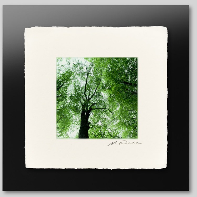 IGREBOW Ĺ ֤ο[» 11] ܥ ƥꥢե ԥ㡼 ̿