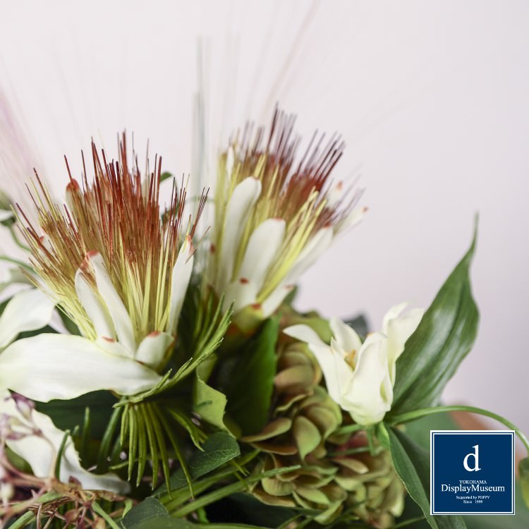 ե󥸥 (ץƥꥪ) H63cm W65cmòͥǥץ쥤ߥ塼 FBCD-3005 ƥեե ե󥸥 ¤ ١դ