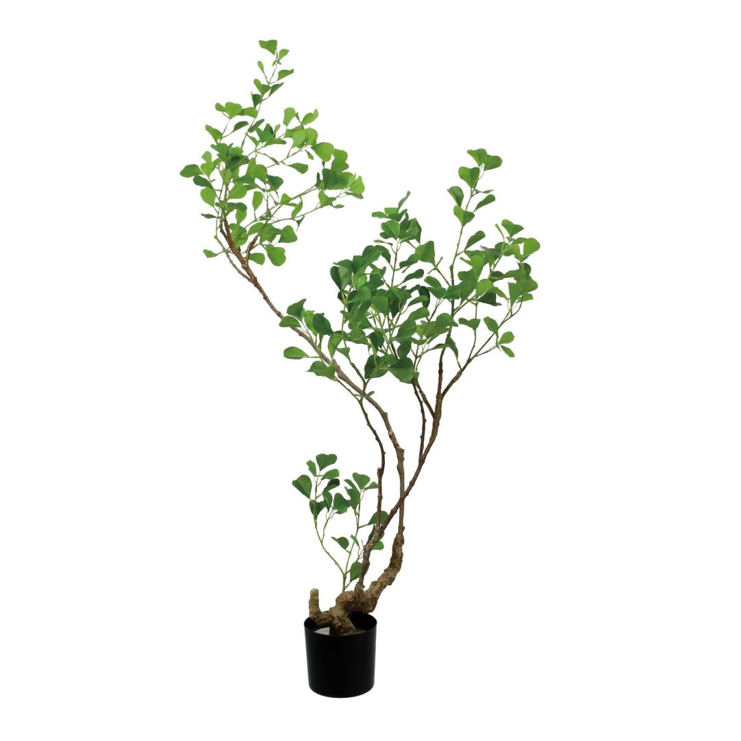 光触媒　人工観葉植物　フェイクグリーン　フィカストライアンギュラスpo 光触媒 人工観葉植物 フェイクグリーン フィカストライアンギュラス180