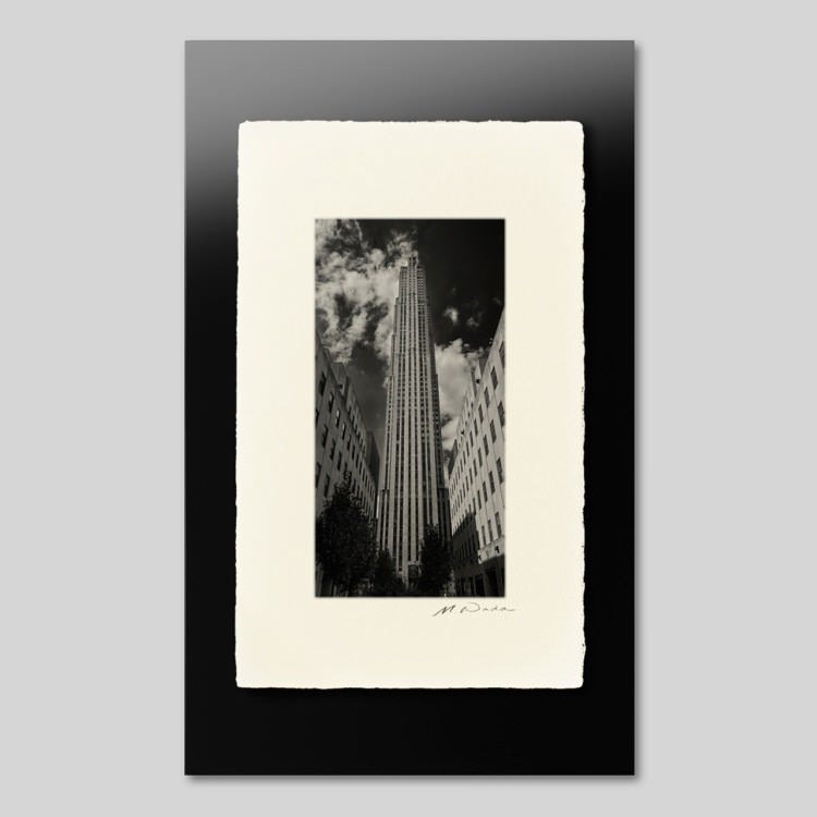 IGREBOW �˥塼�衼�� �ޥ�ϥå��� ���å��ե��顼���󥿡���[�»� 1��2] ��������ܥ� ����ƥꥢ�ե��� �ԥ����㡼������ �̿�