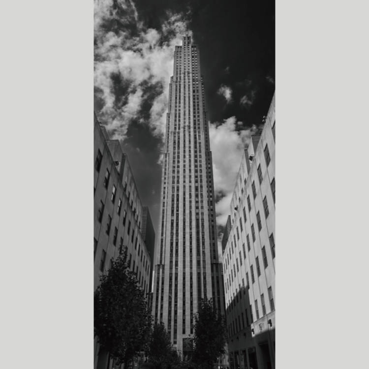 IGREBOW �˥塼�衼�� �ޥ�ϥå��� ���å��ե��顼���󥿡���[�»� 1��2] ��������ܥ� ����ƥꥢ�ե��� �ԥ����㡼������ �̿�