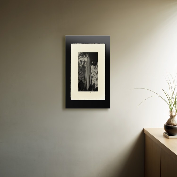 IGREBOW �˥塼�衼�� �ޥ�ϥå��� ���å��ե��顼���󥿡���[�»� 1��2] ��������ܥ� ����ƥꥢ�ե��� �ԥ����㡼������ �̿�