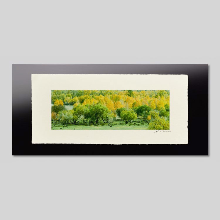 IGREBOW ��󥴥� �ƥ�른 ���դ��Ф������뿹��[�»� 1��3] ��������ܥ� ����ƥꥢ�ե��� �ԥ����㡼������ �̿�