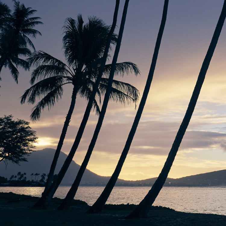 IGREBOW ϥ磻 γ 磻ӡ[å 11] ܥ ƥꥢե ԥ㡼 ̿