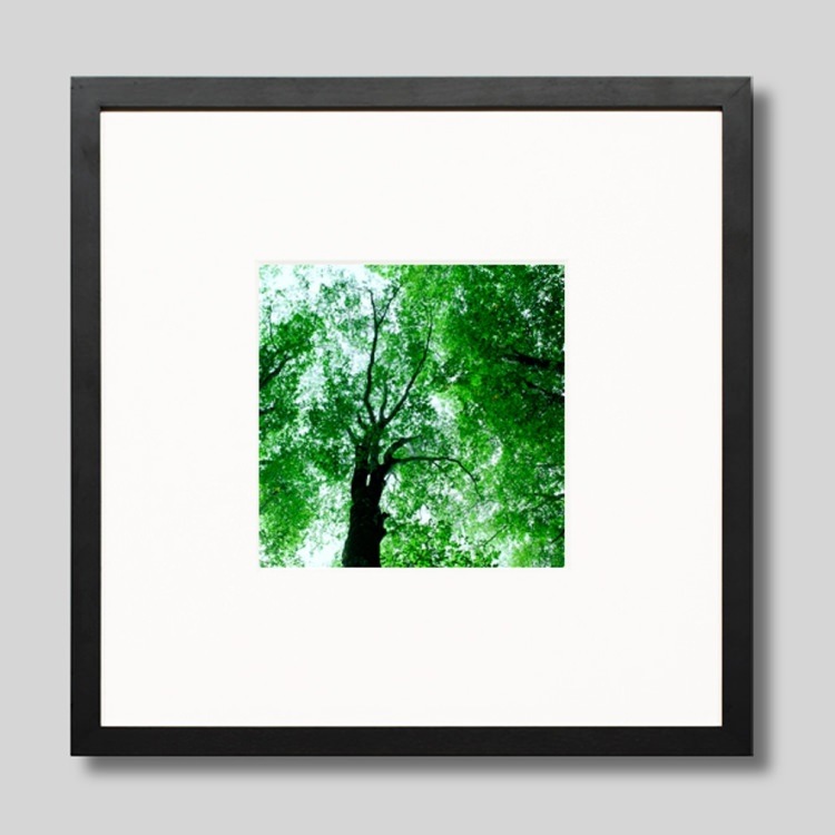 IGREBOW Ĺ� �����֤ο���[���å� 1��1] ��������ܥ� ����ƥꥢ�ե��� �ԥ����㡼������ �̿�