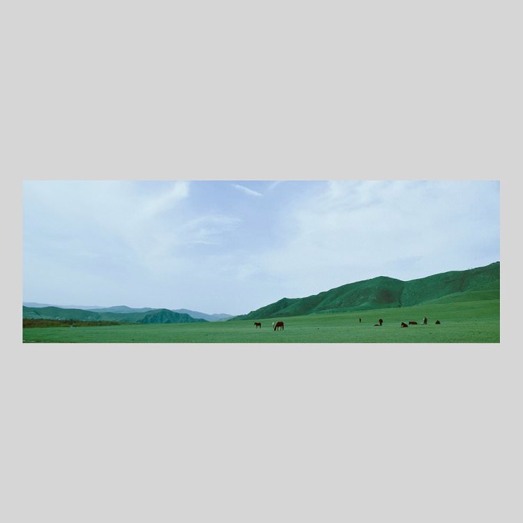 IGREBOW ��󥴥� �ƥ�른 �𸶤��ϡ�[����� 1��3] ��������ܥ� ����ƥꥢ�ե��� �ԥ����㡼������ �̿�