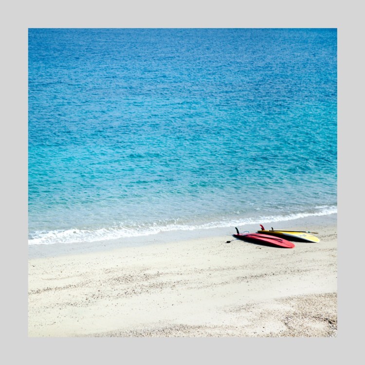 IGREBOW �������� �Ĥ������򤤺��͡�[����� 1��1] ��������ܥ� ����ƥꥢ�ե��� �ԥ����㡼������ �̿�