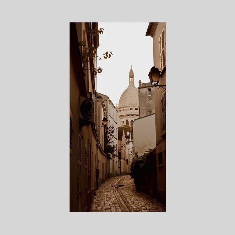 IGREBOW ե ѥꡦƻα˥졦[å 12] ܥ ƥꥢե ԥ㡼 ̿