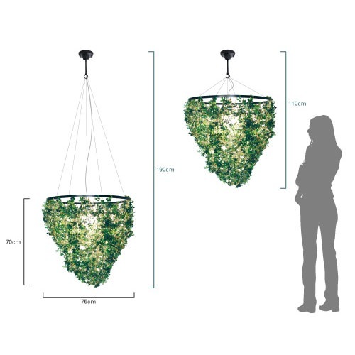 DI CLASSE(�ǥ�����å�)�Υڥ����ȥ��ס�Foresti grande �ե��쥹�ƥ������� ���꡼�� [Ǽ��̤��]