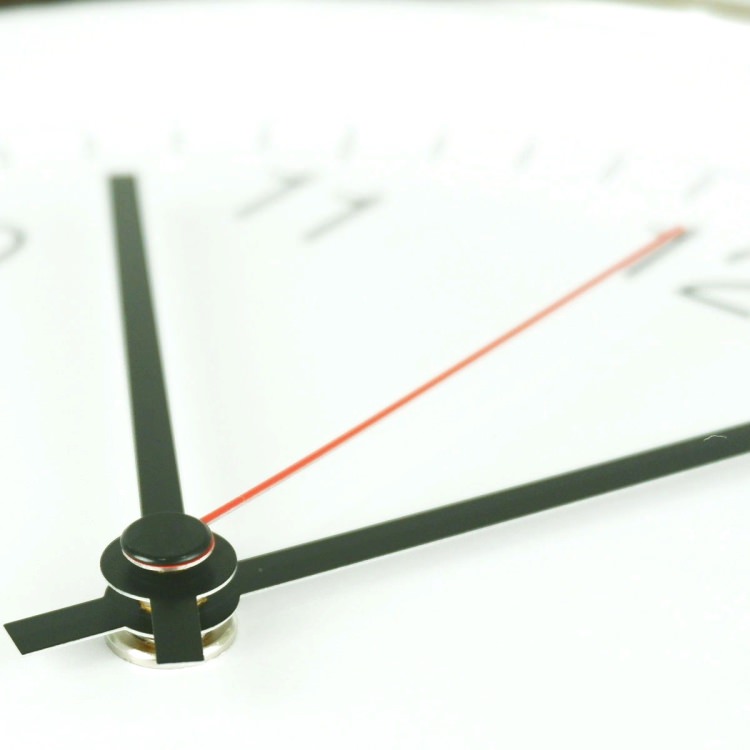 [] ZACK 60025 PALLA ɥZACKǥΥ륯å HL