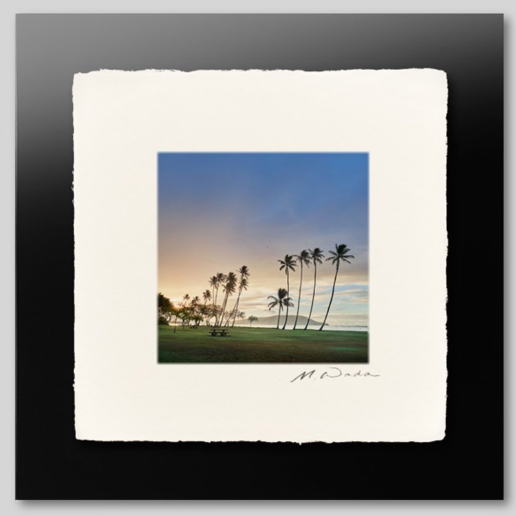 IGREBOW �ϥ磻 �������Υ��磻�����ӡ����ѡ�����[�»� 1��1] ��������ܥ� ����ƥꥢ�ե��� �ԥ����㡼������ �̿�